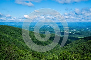 A Summertime View Shenandoah Valley