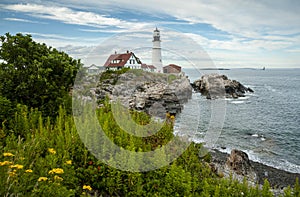 Summertime Wildflowers by Oldest Lighthouse in Maine