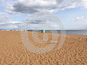 Summertime in Zelenogorsk beach