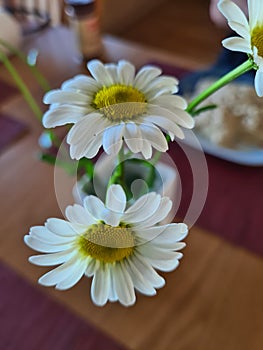 Summertimes on the table