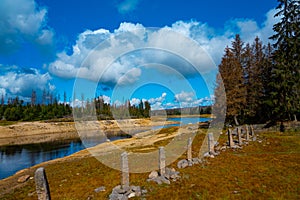 Summery Odertal in the Harz Mountains