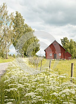 Summery scenery with barn