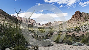 Summit Canyon in the Kofa Wilderness