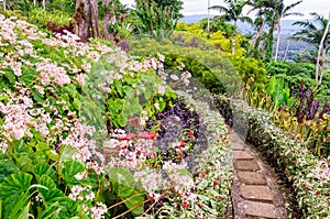 The Summit Gardens - Port Vila