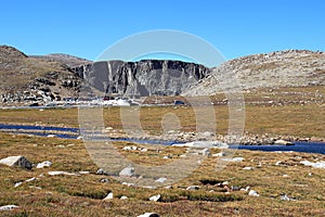 Summit lake park with artic and alpine tundra