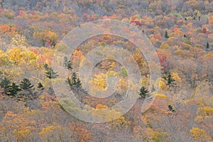 From the summit of North Sugarloaf, White Mountains, New Hampshire