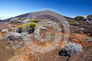 Summit of Piton de la Fournaise volcano La Reunion photo