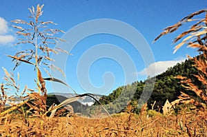 Summit rock panorama landscape of the mountains in south tyrol italy europe in autumn