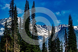 Summit of Rogers Pass Glacier National Park British Columbia Canada