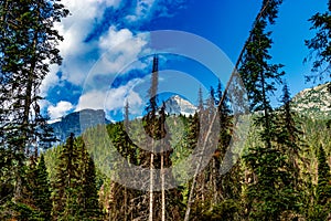 Summit of Rogers Pass Glacier National Park British Columbia Canada