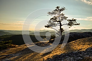 Summit of Stone Mountain North Carolina