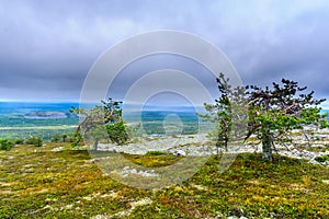 Summit of Ukko-Luosto Fell, in Pyha-Luosto National Park, Lapland, Finland