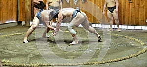 Sumo wrestler fighters tain in sumo stables preparing for sumo tournament held in Tokyo Japan
