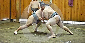 Sumo wrestler fighters tain in sumo stables preparing for sumo tournament held in Tokyo Japan