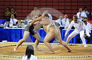 Sumo wrestling