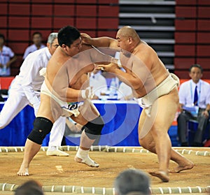 Sumo wrestling in action