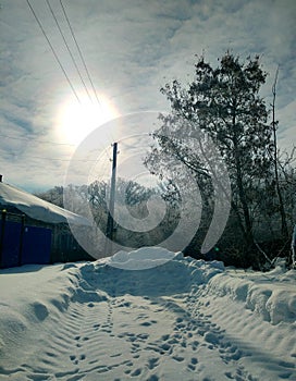 The sun is above the rural house, standing on the edge of the winter oak forest.