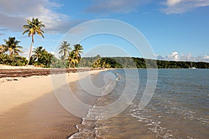 Sun Bay Beach in Vieques, Puerto Rico