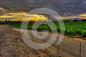 Sun beams on the cirtrus