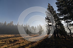 With sun beams passing through the fog at mountain forest