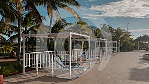 sun beds on the background of palm trees. caribbean landscape