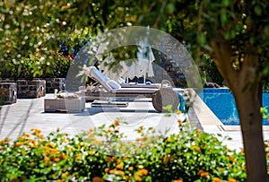 sun beds, flowers and tropical fruits by outdoor pool