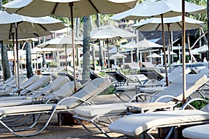 Sun beds in garden at resort