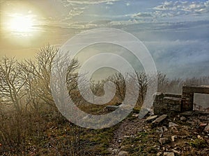 Sun behind clouds with trees and ruined wall in the foreground