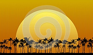 Sun Behind Palm Trees