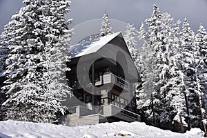 Sun Breaks on a Snowy Whitefish Mountain Resort Chalet photo