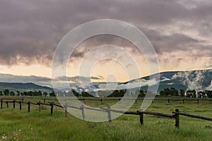 Sun Breaks Through Thick Fog Over Field