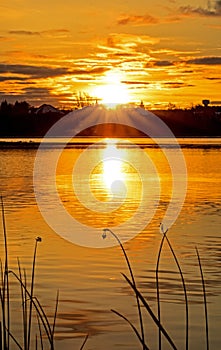 Sun Burst At Sunrise Over Island Lake