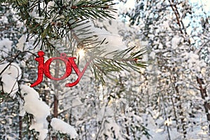 Sun Bursts above a Glitter Joy Ornament in Winter