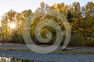 Sun bursts through the autumn colored trees along the Naches River.