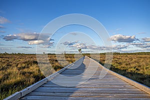 Sun casting low light during calm Sunset in summer over Wooden footpath