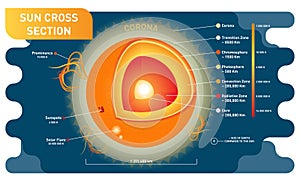 Sun cross section scientific vector illustration diagram with sun inner layers, sunspots, solar flare and prominence.