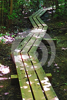 Sun-dappled wood plank zigzag trail in forest