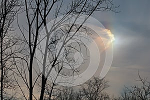 Sun dog Parhelion in Winter Sky