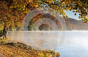 Sun Drenched Autumn Foliage around Lake