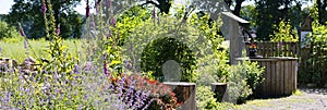 A sun-drenched rural garden