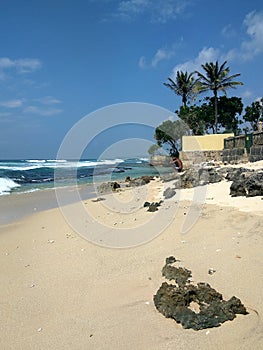 Sun-drenched sandy beach with stones, the coast of the Indian ocean