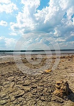 Sun-dried dead crustaceans Artemia salina on cracked therapeutic mud in the Kuyalnitsky estuary in the Odessa region, Ukraine