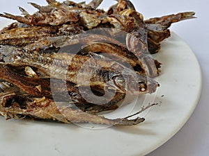 Sun dried fish and salty. small fish fried on white dish. top view and background.