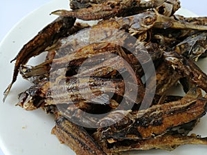 Sun dried fish and salty. small fish fried on white dish. top view and background.