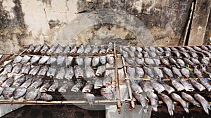 Sun-dried fish trichogaster pectoralis, Food preservation in Thailand