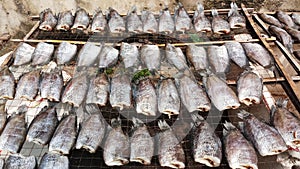 sun-dried fish trichogaster pectoralis, Food preservation in Thailand