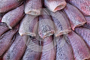 Sun dried gouramy fish arranging on tray with price tag.