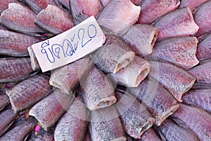 Sun dried gouramy fish arranging on tray with price tag.