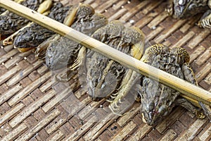 Sun dried green frogs, local food of Thailand