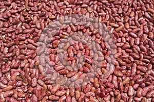 Sun dried haricot bean seeds